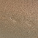 P7307742